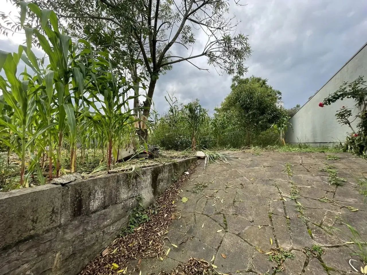 CAXIAS DO SUL - Terreno Padrão - COLINA SORRISO - Foto 2