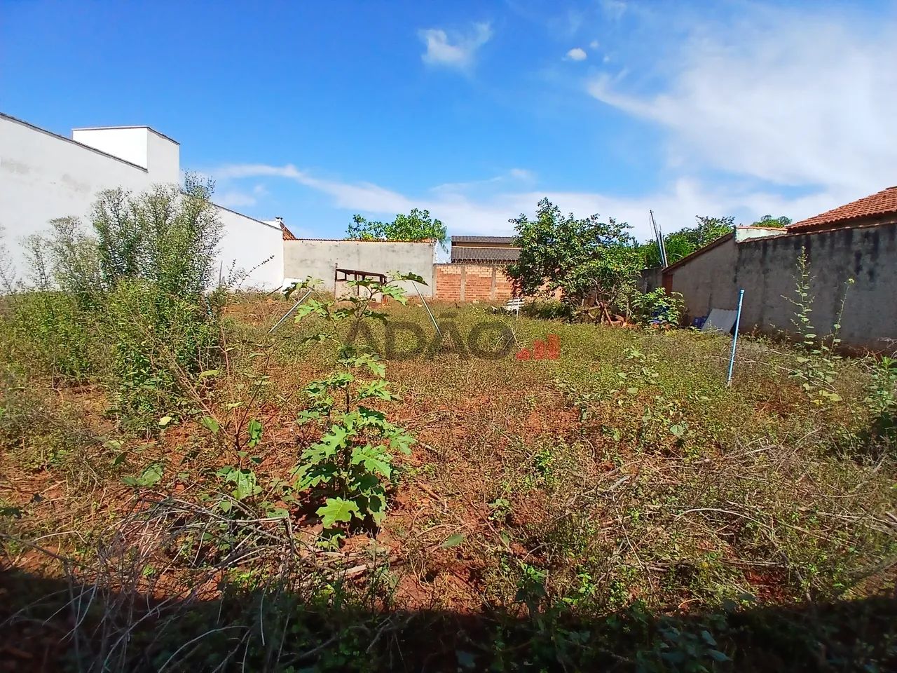 Lote Recanto - Foto 5
