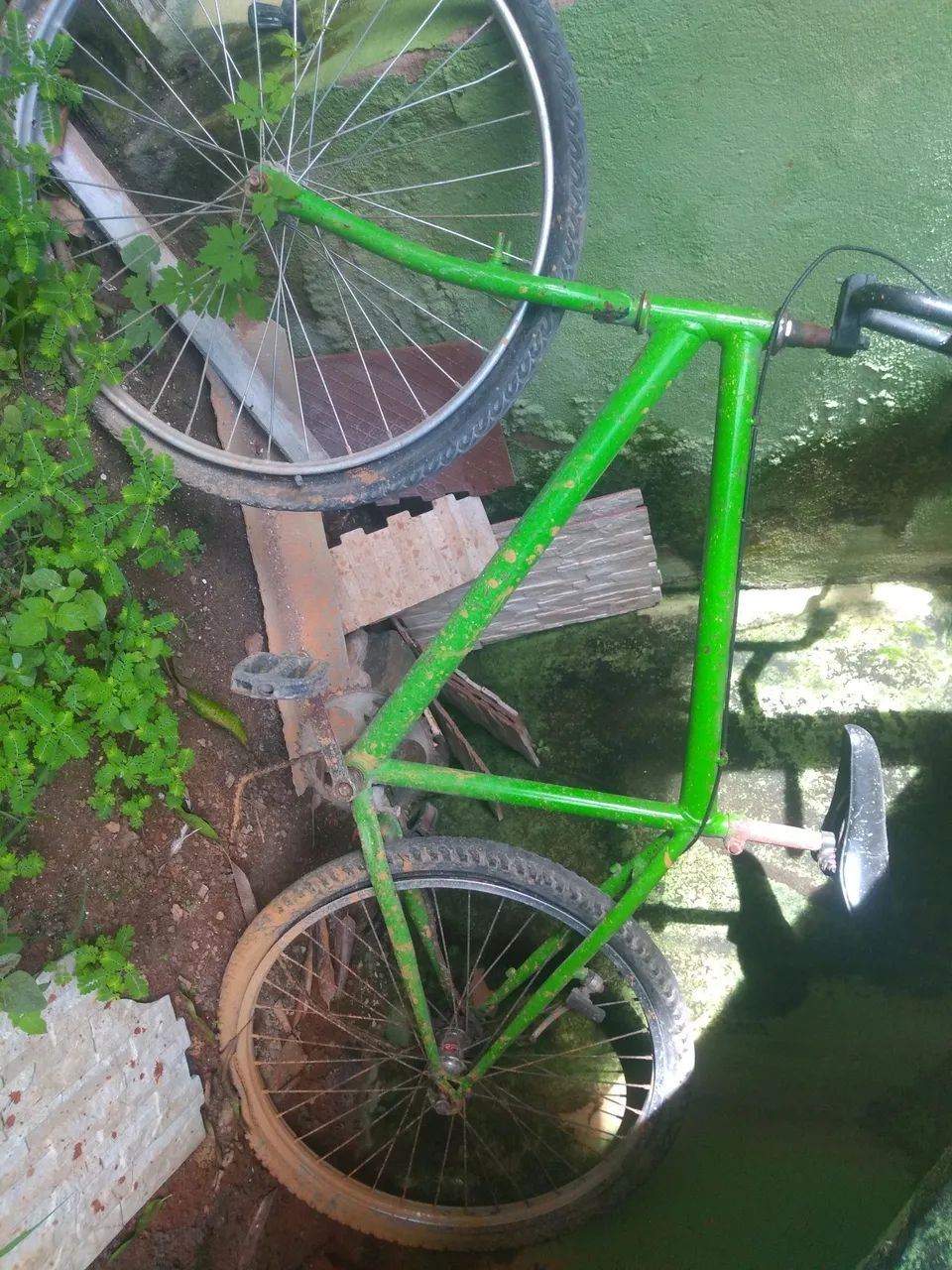 Bicicleta 