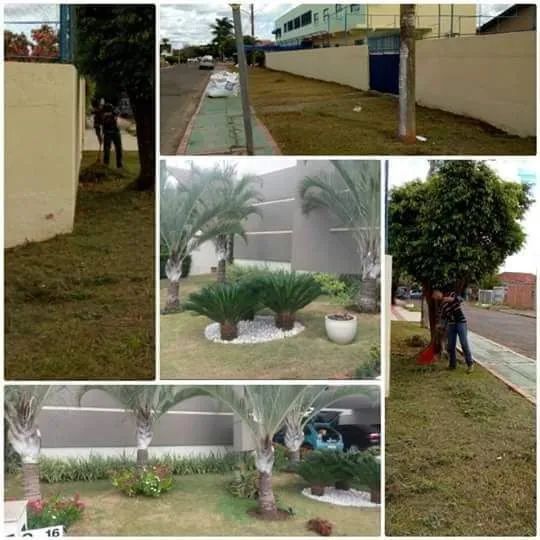 Jardinagem e manutenção - Foto 3