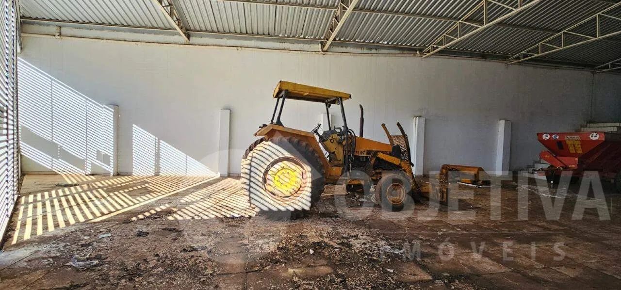 Galpão para aluguel, 2 vagas, BOM JESUS - UBERLANDIA/MG - Foto 4