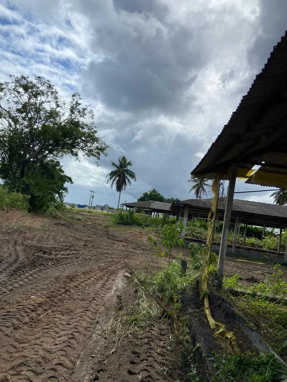 Área Comercial à Venda | Aracaju| SE [23904] - Foto 2