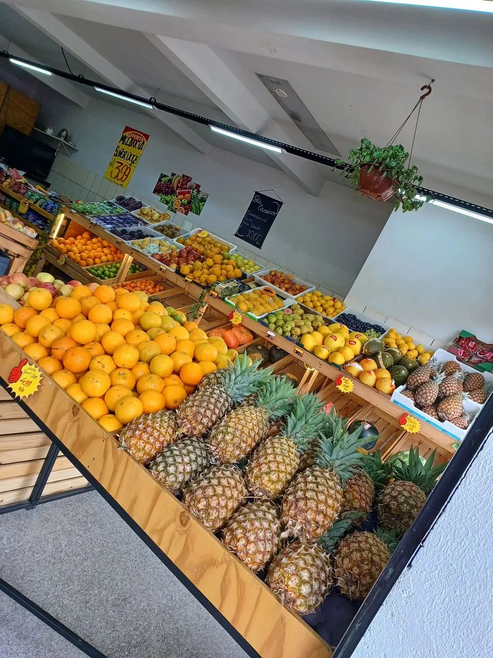 Frutaria completa  - Foto 5