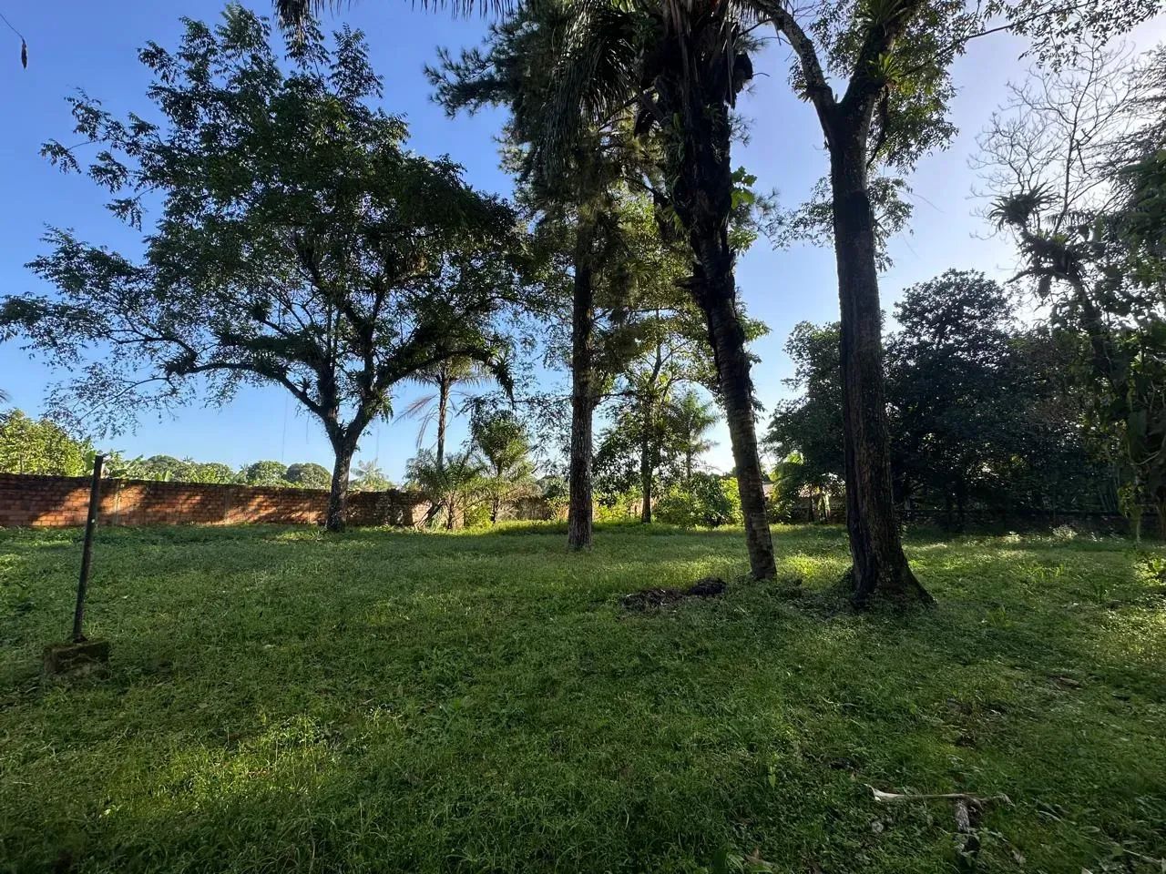 Vendo Sítio em Mosqueiro/Carananduba - Foto 5