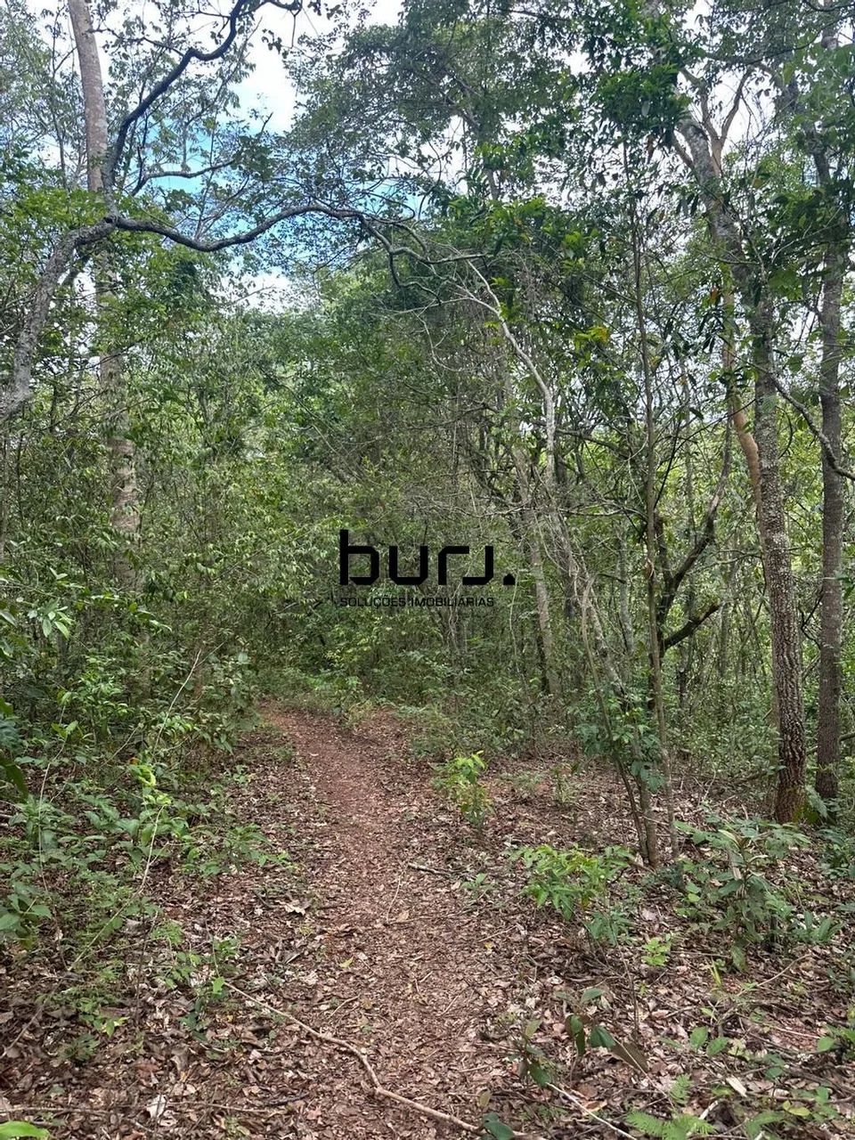 Terreno à venda em Caldazinha, Setor Central, com 2000 m² - Foto 4