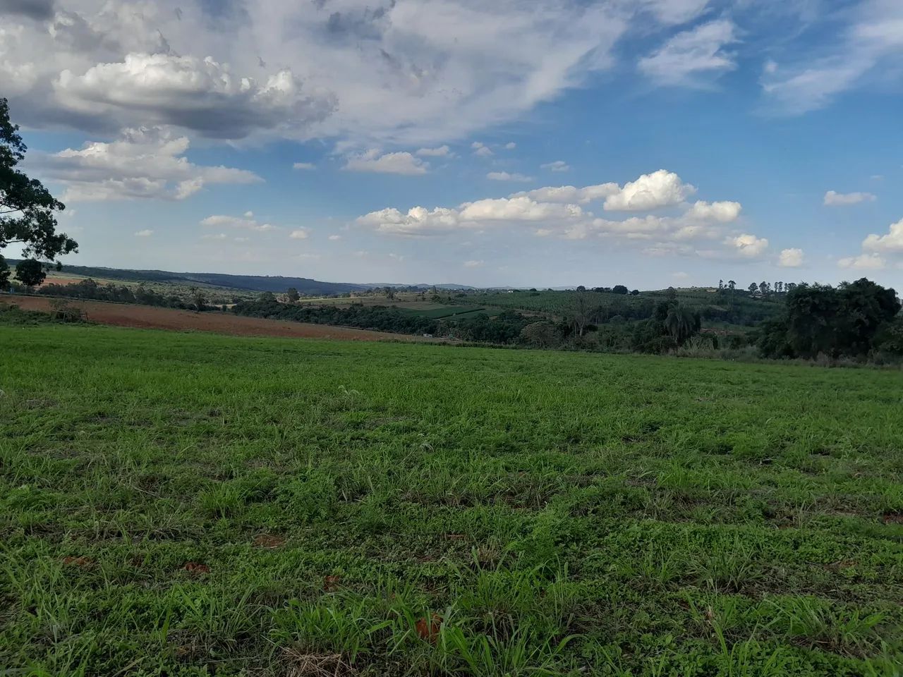 Chacaras na divisa de igarape  - Foto 5