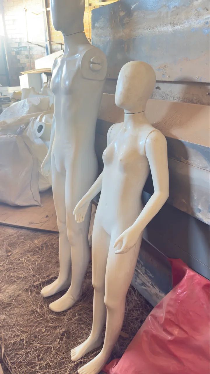 Manequim - Vários modelos 