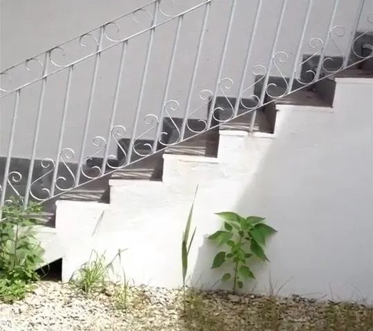 Casa comercial 300 m² Camargos BH Escritorios  Com potecial para aumentar - Foto 4