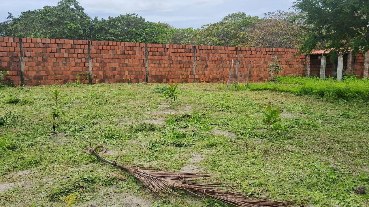 Lotes próximo lagoa do banana  - Foto 2