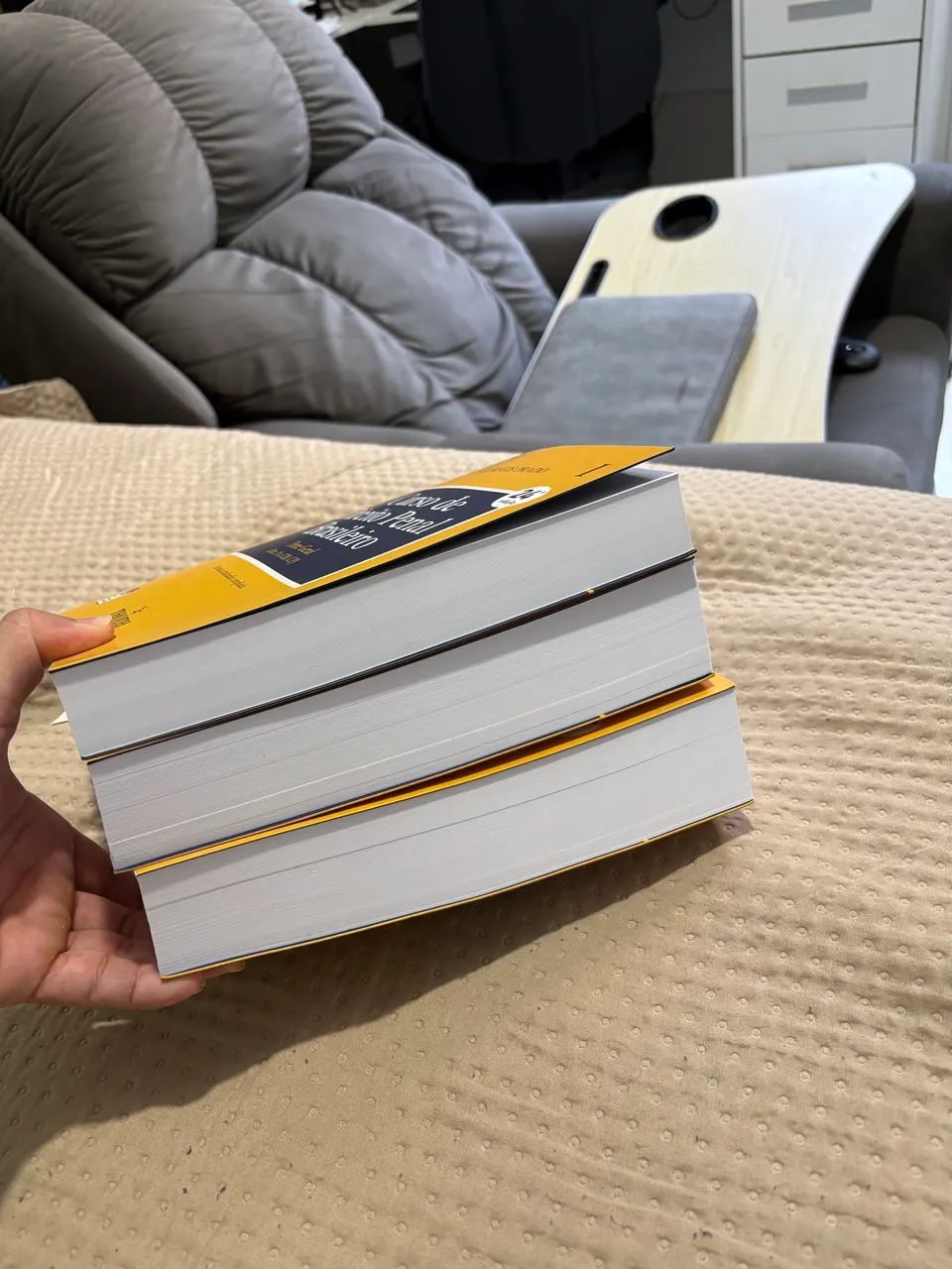 Livro de direito penal 
