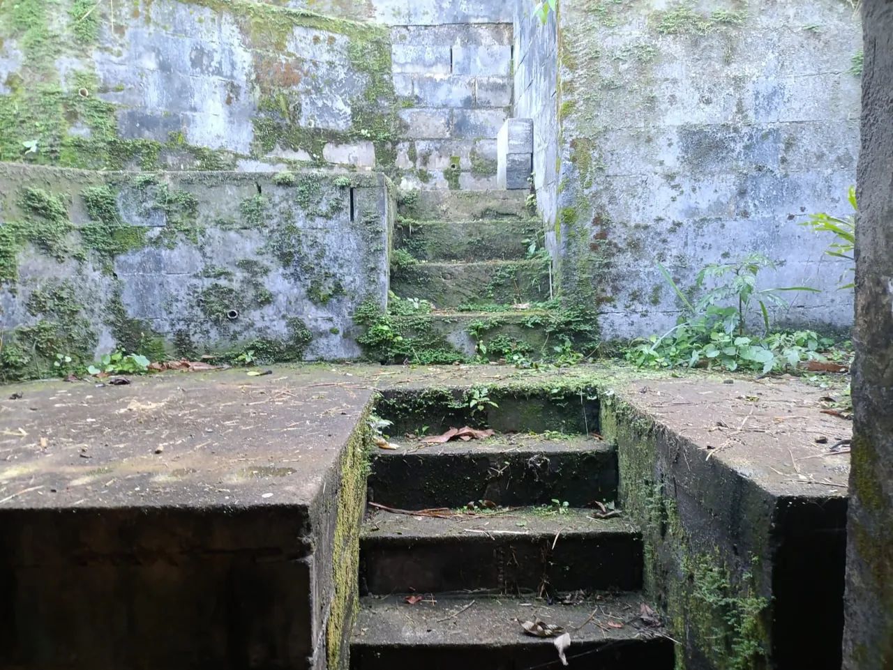 Loja Comercial+ Amplo terreno nos fundos  - Foto 4