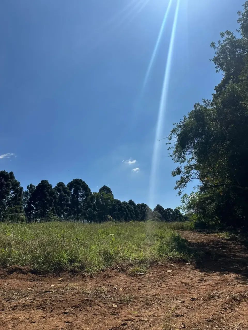 Terrenos com Natureza, Privacidade e Muito Espaço. - Foto 4