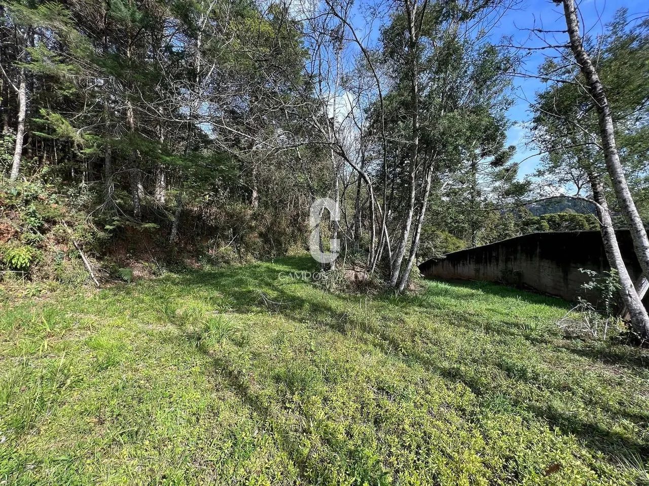 Área para incorporação à venda, 16.805 m², R$ 8.000.000,00, ao lado do Cantrinho do Capiva - Foto 5