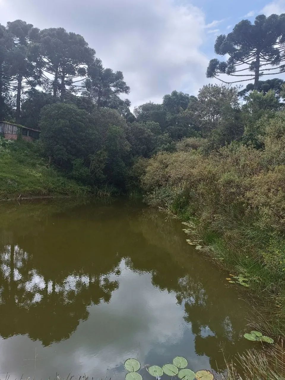 Terreno pra chácara  - Foto 5