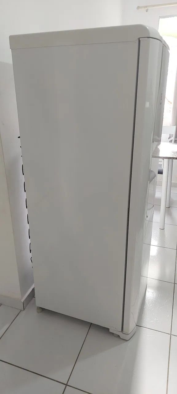 Geladeira Electrolux RFE39 FROSTFREE - Foto 5