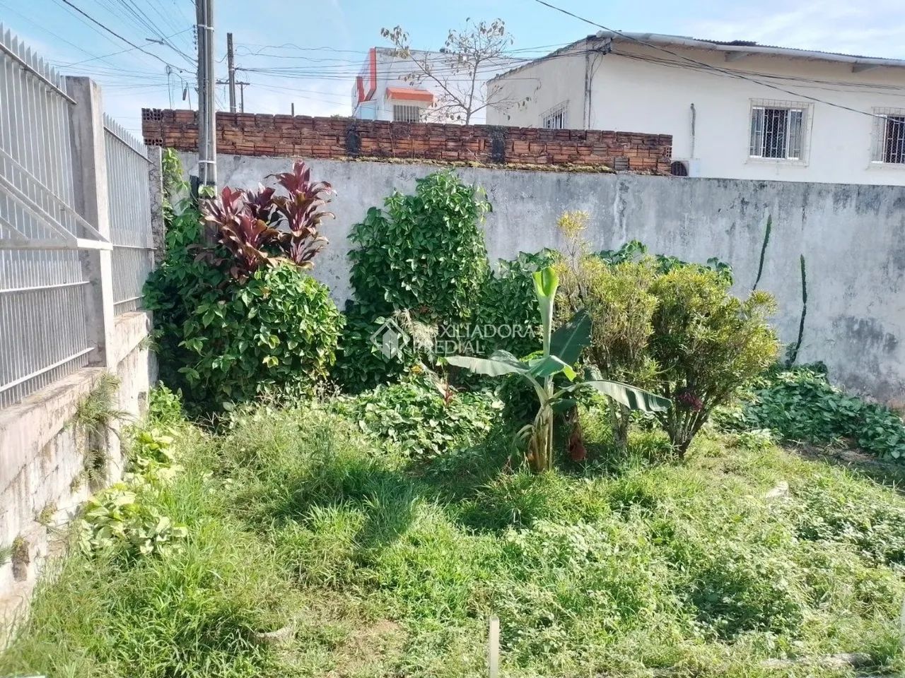 Terreno a venda Estreito - Florianópolis - Foto 2