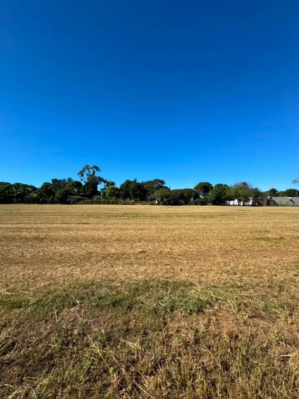 Sitio com 35.599,19m², no bairro Itapavussu, em Cosmópolis-SP. - Foto 2