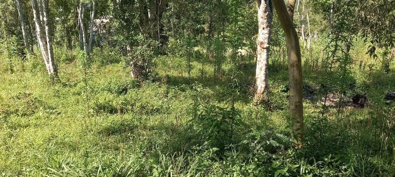 Terreno em Embura - São Paulo - Foto 4