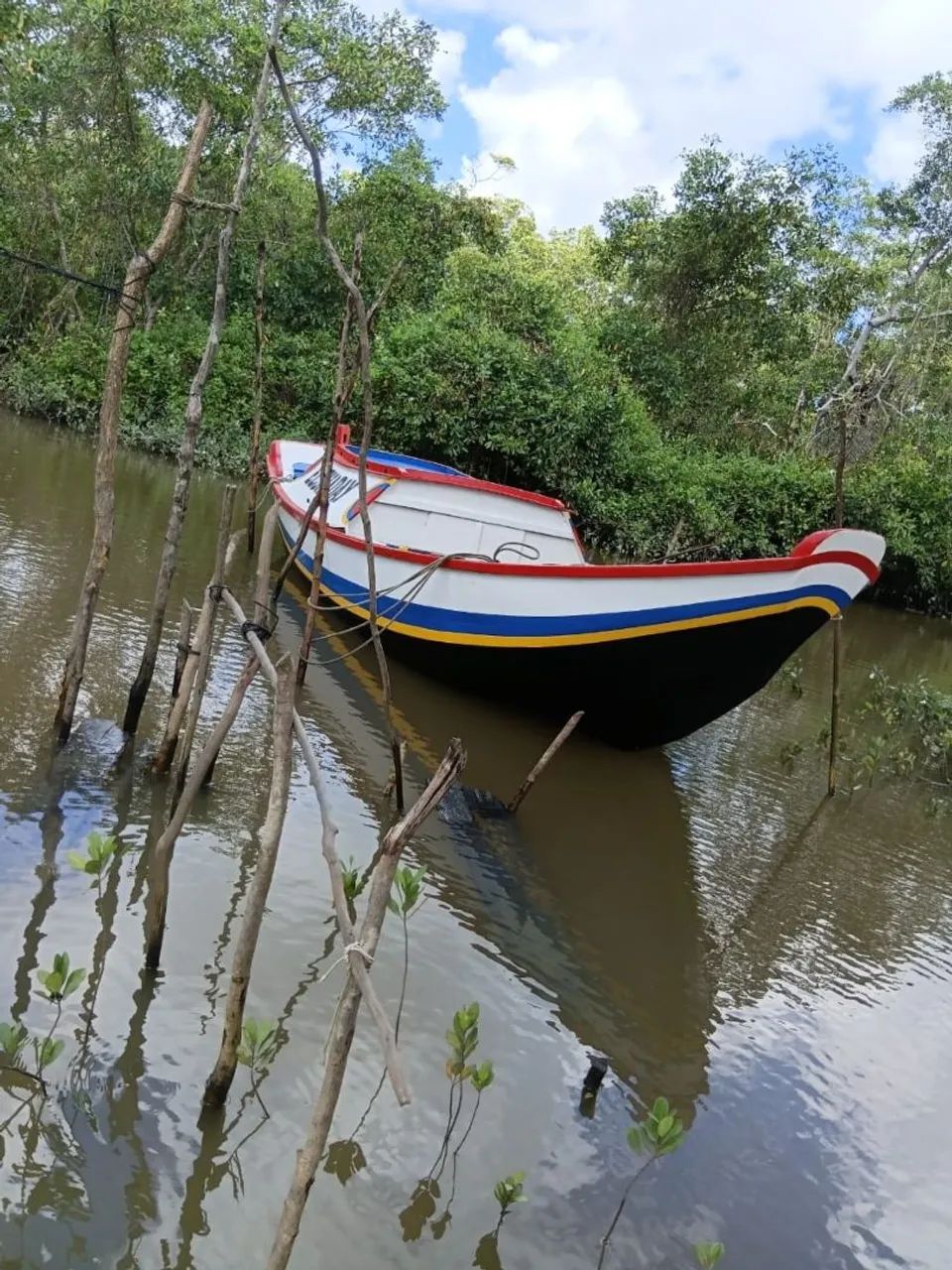 Canoa + motor yamaha 9