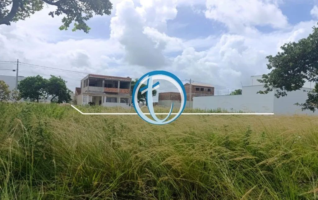 VENDO TERRENO 400M² LOTEAMENTO NOVA TAMNDARÉ - PE - Foto 3
