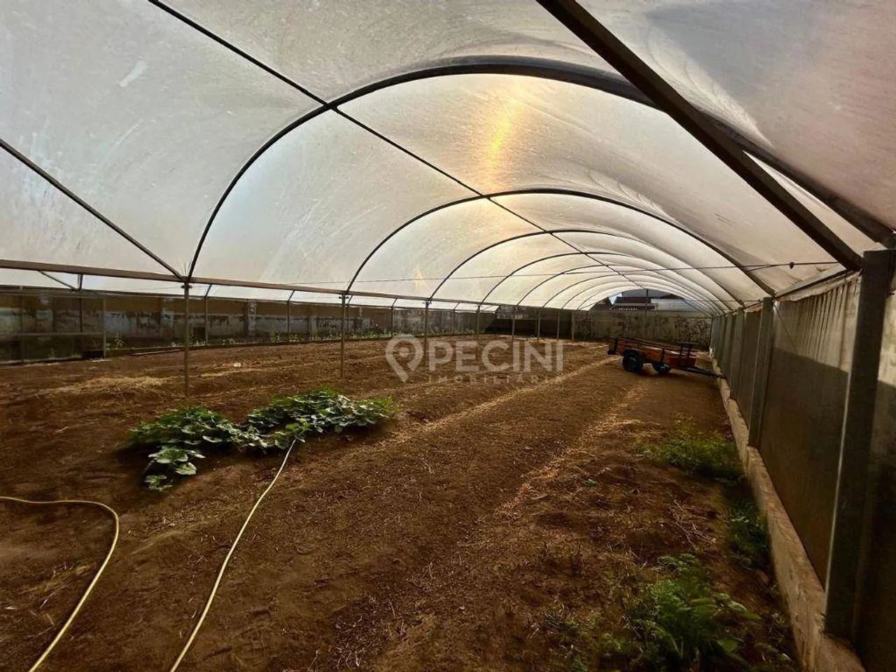 Terreno para alugar no Saúde em Rio Claro. - Foto 5
