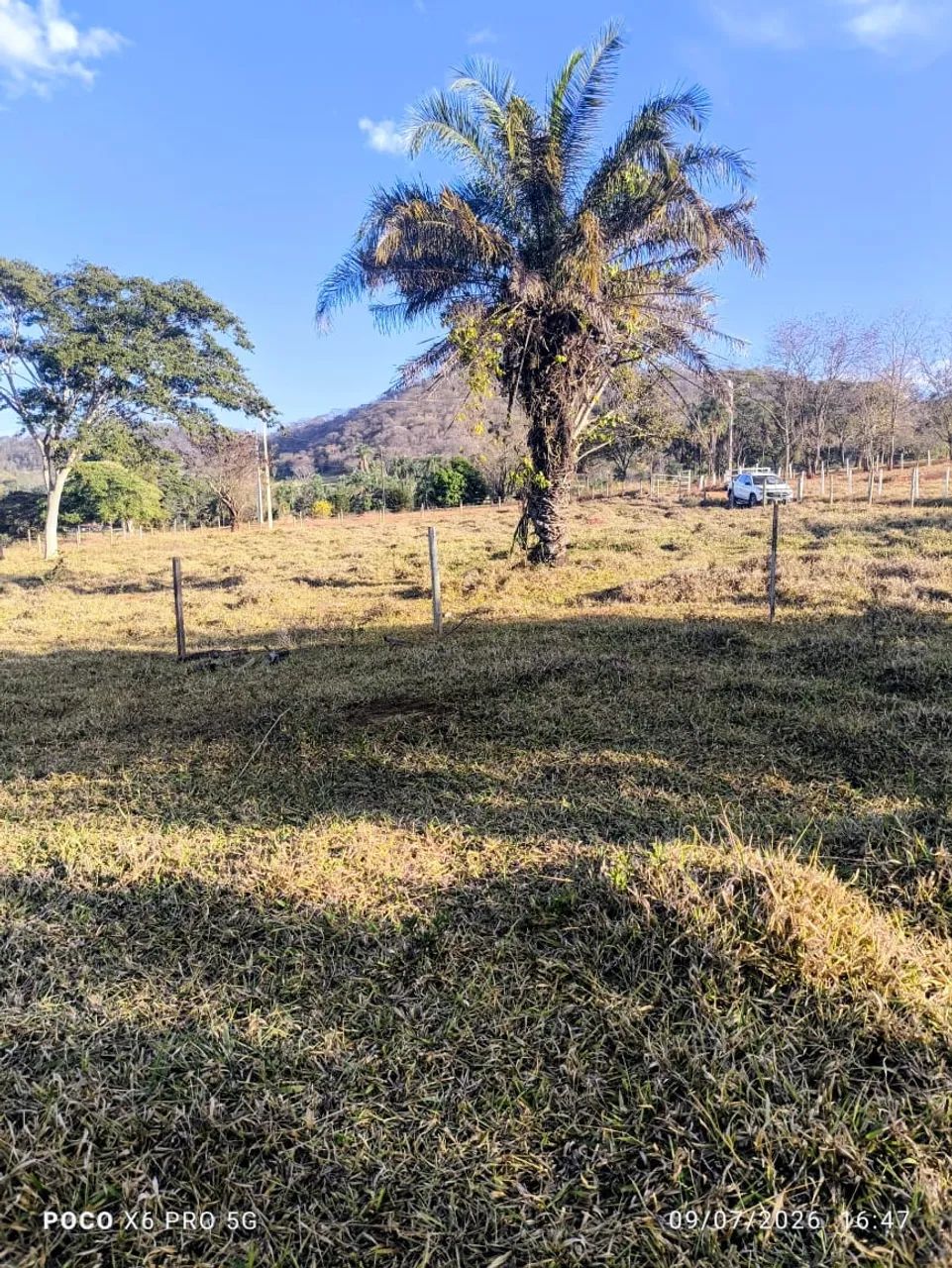 Chácara em Avelinópolis  - Foto 5