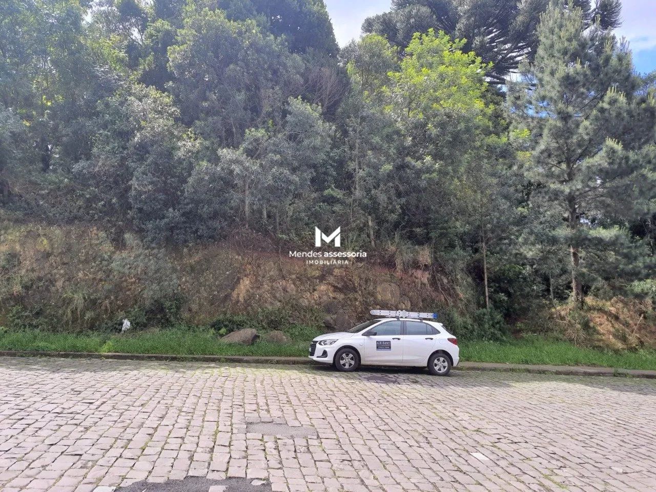 Terreno para permuta próximo da UCS - Foto 5