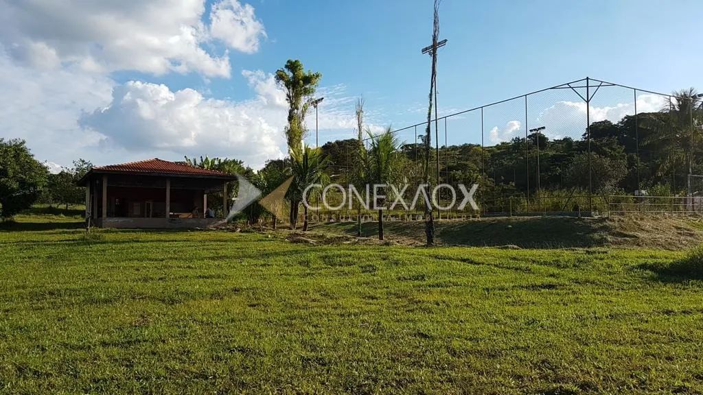 chácara - Sousas - Campinas - Foto 4