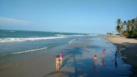 Lotes em Paracuru - VENDO ou TROCO por veículo  - Foto 5