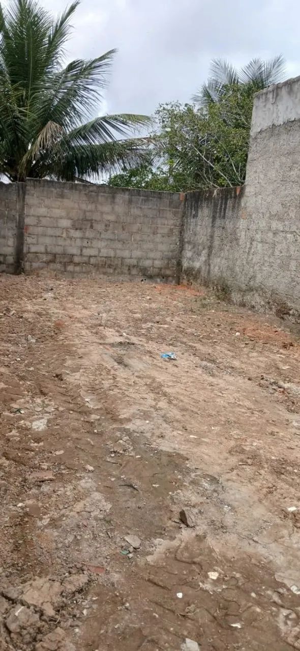 LOTE NA MATA  DO ROLO - Foto 3