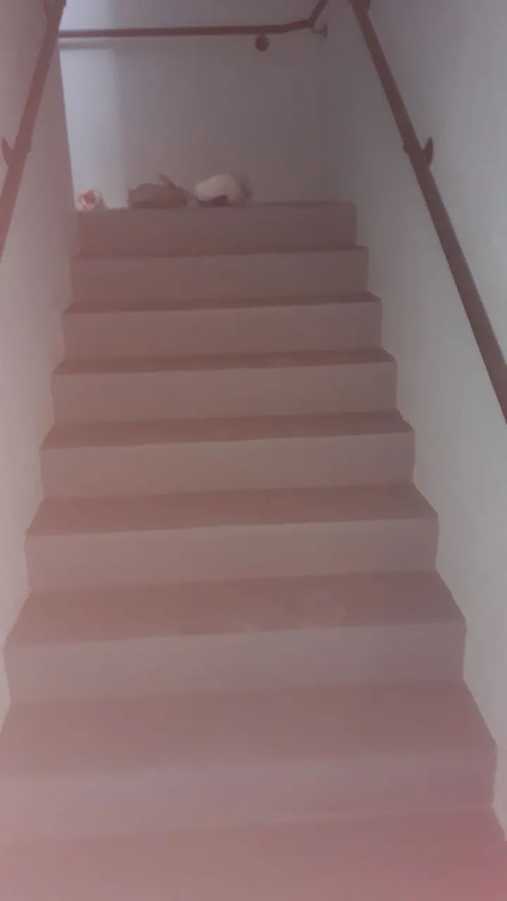 Pintor geral