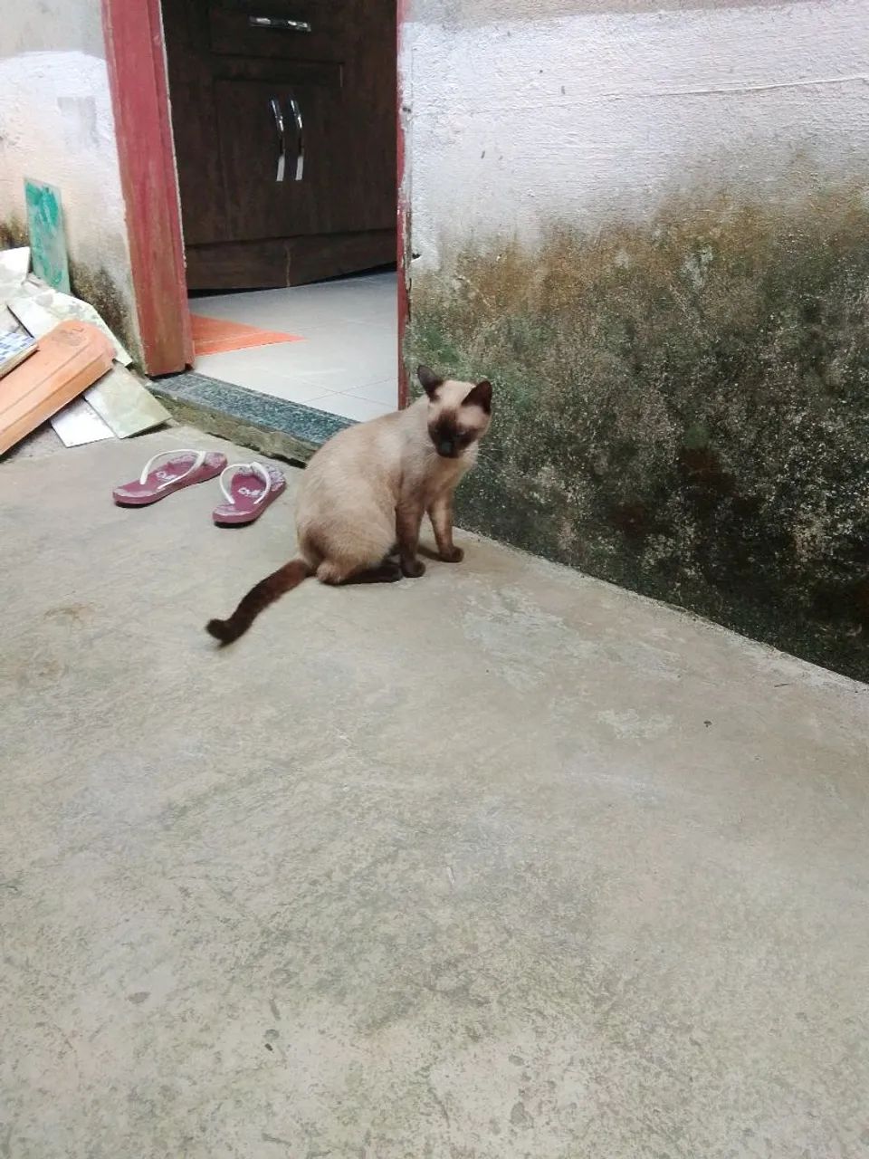 Doação 