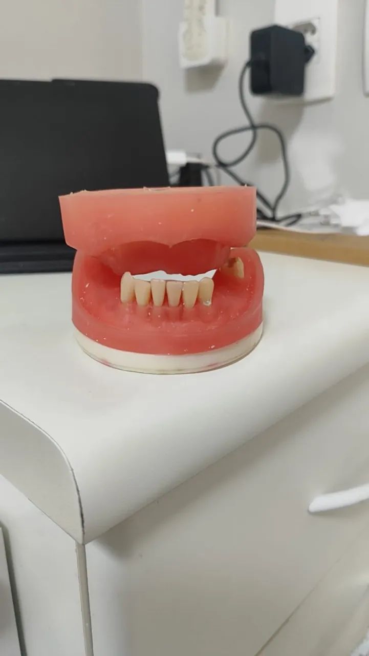 Manequim odontologia  - Foto 3
