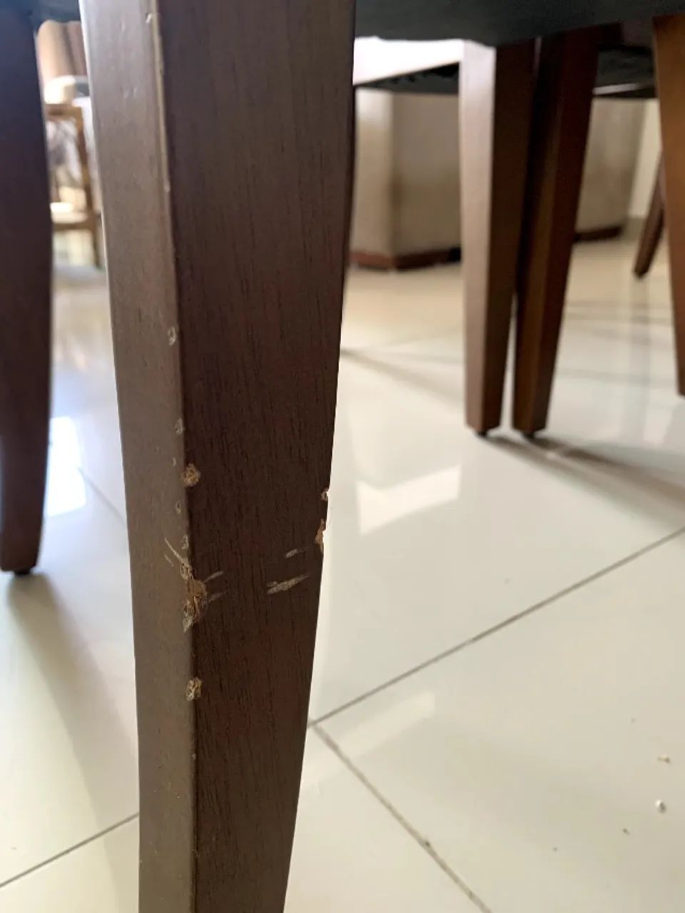 Mesa de jantar 6 lugares da Raiuga - Foto 3
