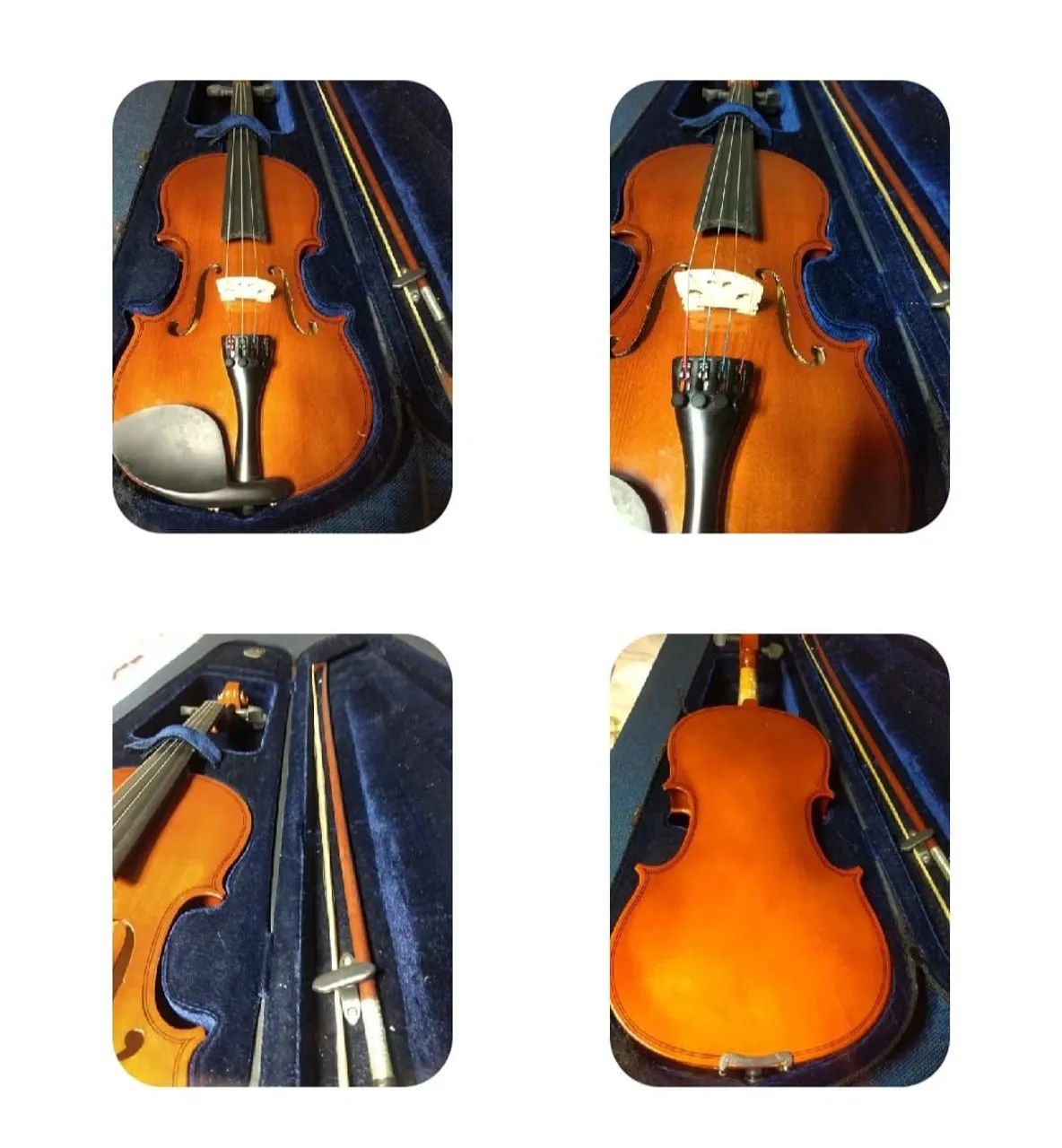 Violino  - Foto 2