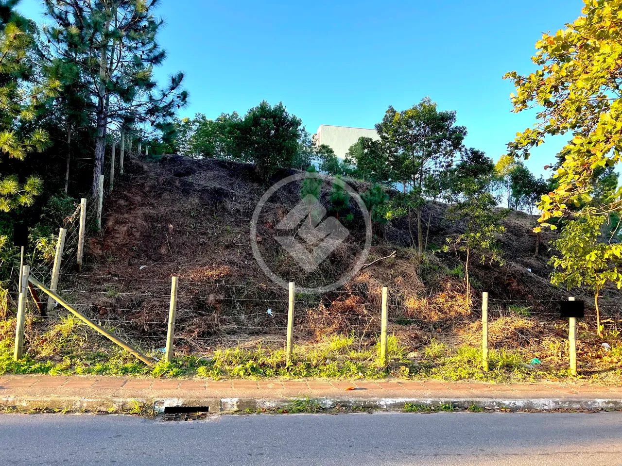 Terreno no Rio Tavares codigo: 141793 - Foto 2