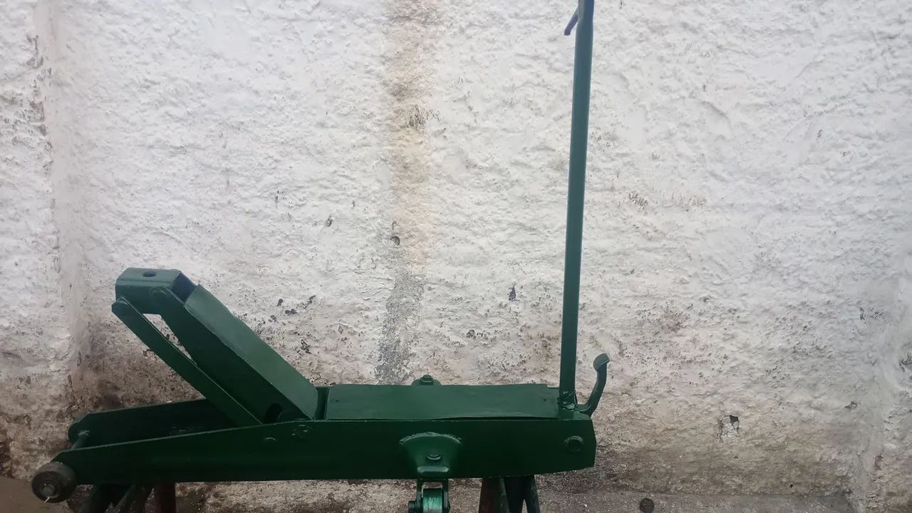 Macaco jacaré  - Foto 4