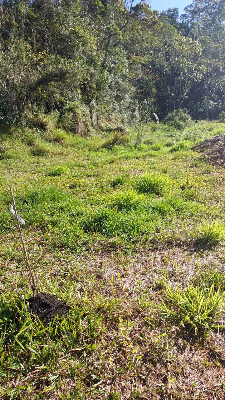 Terreno plano para Sitio com cachoeira  - Foto 5