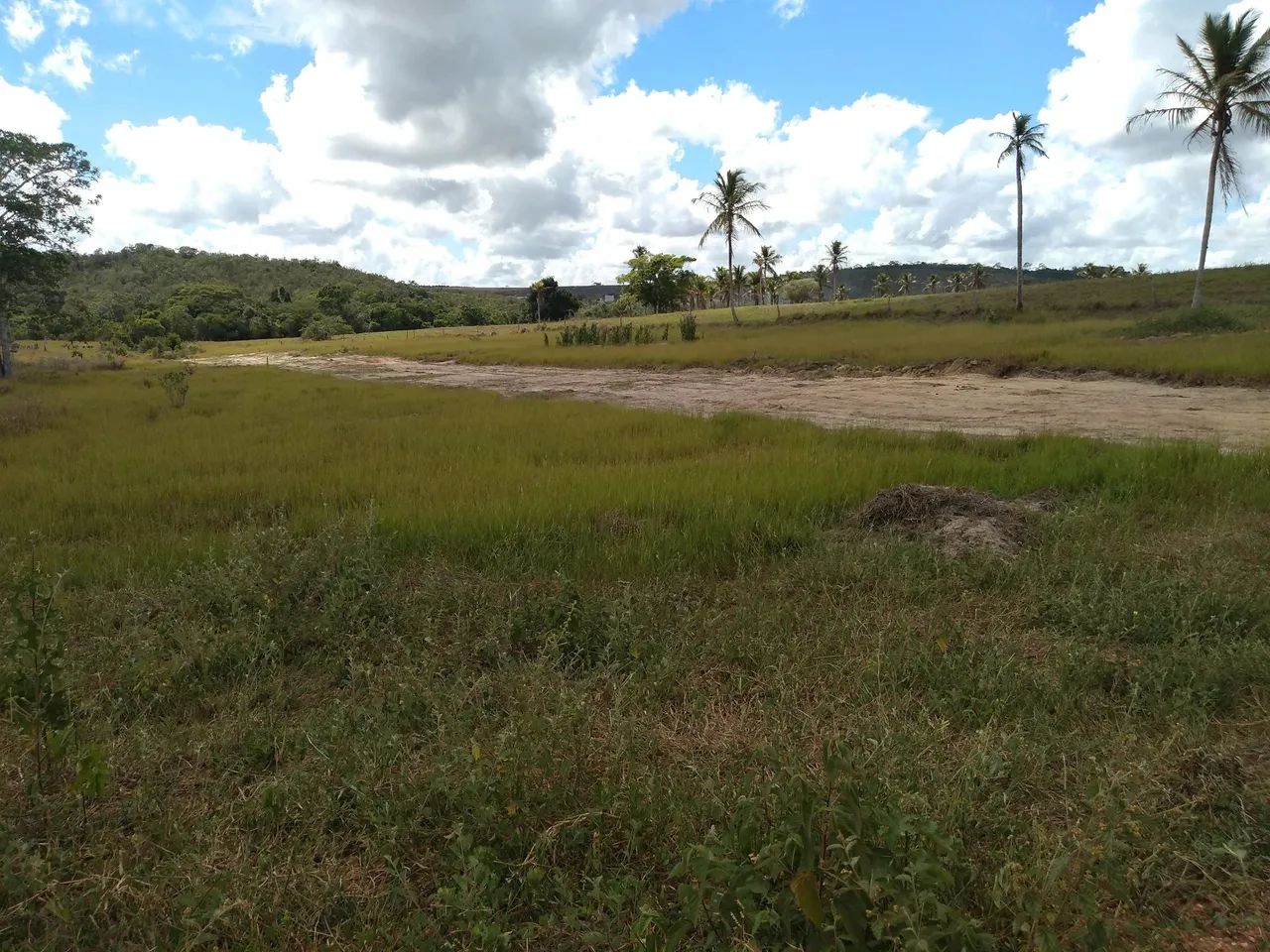 Terreno no interior de salgado  - Foto 2