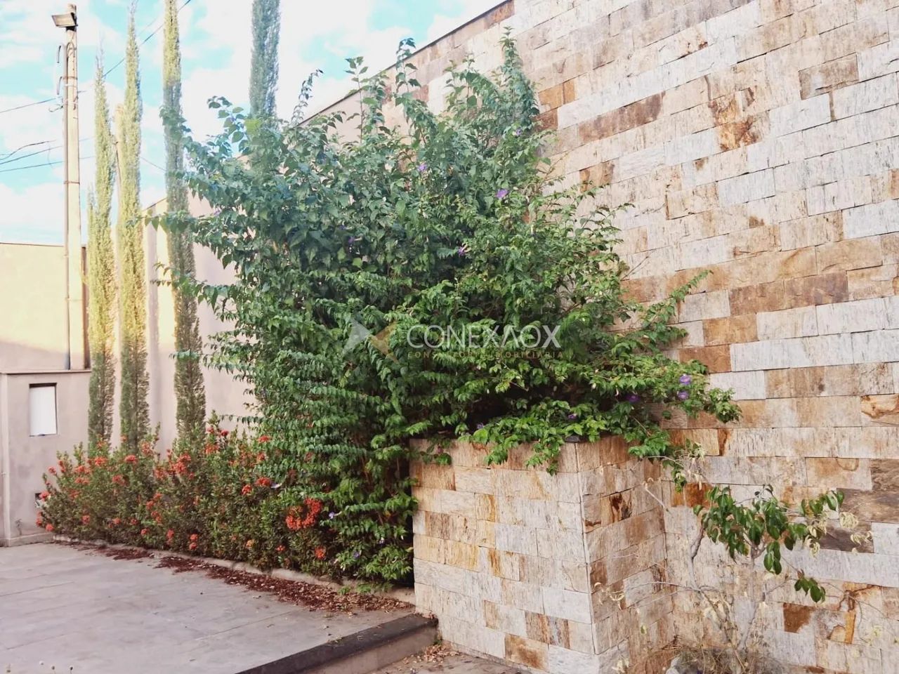 casa - Jardim Eulina - Campinas - Foto 4