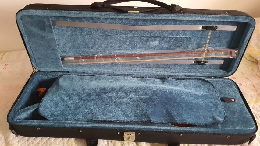 Violino Eagle _4/4 ve441 - Foto 2