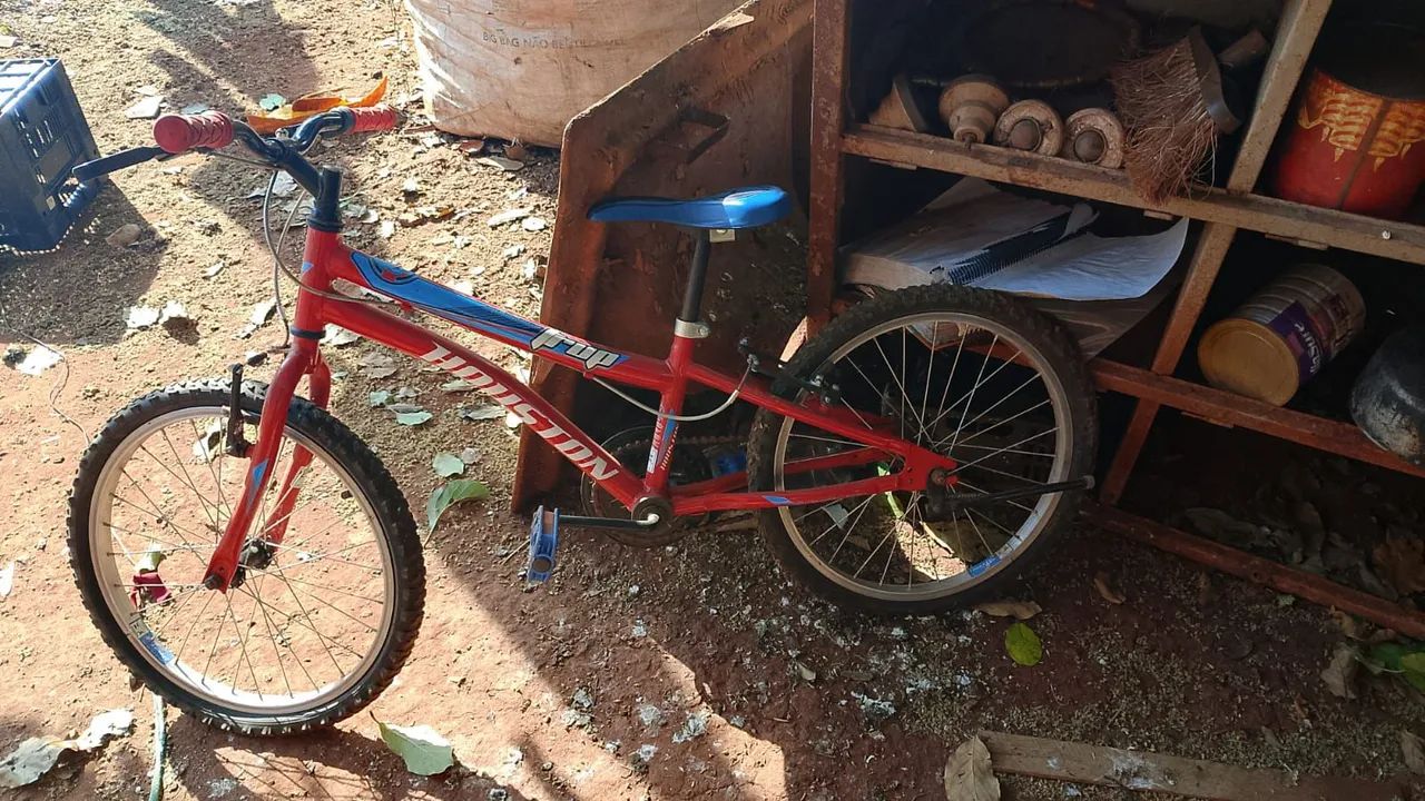Bicicleta infantil aro 20