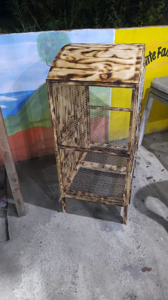 VIVEIRO CALOPSITAS/AVES EXÓTICAS  - Foto 2