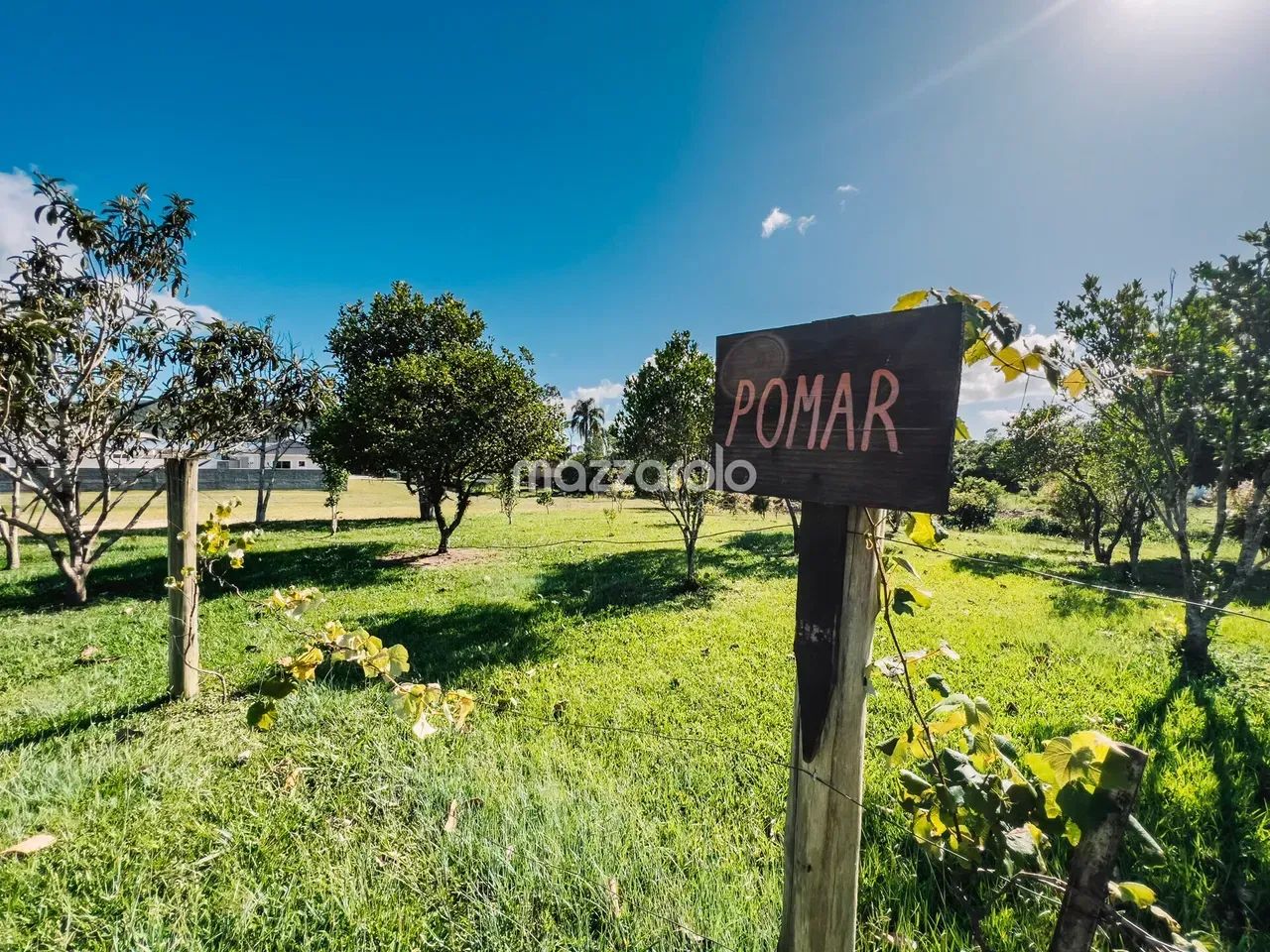 Terreno 585m² em condomínio fechado em Santo Amaro da Imperatriz - Foto 3