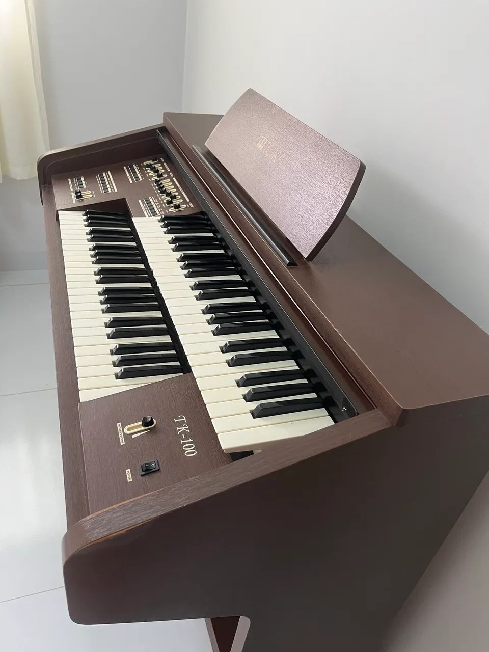 Órgão Eletrônico TK 100
