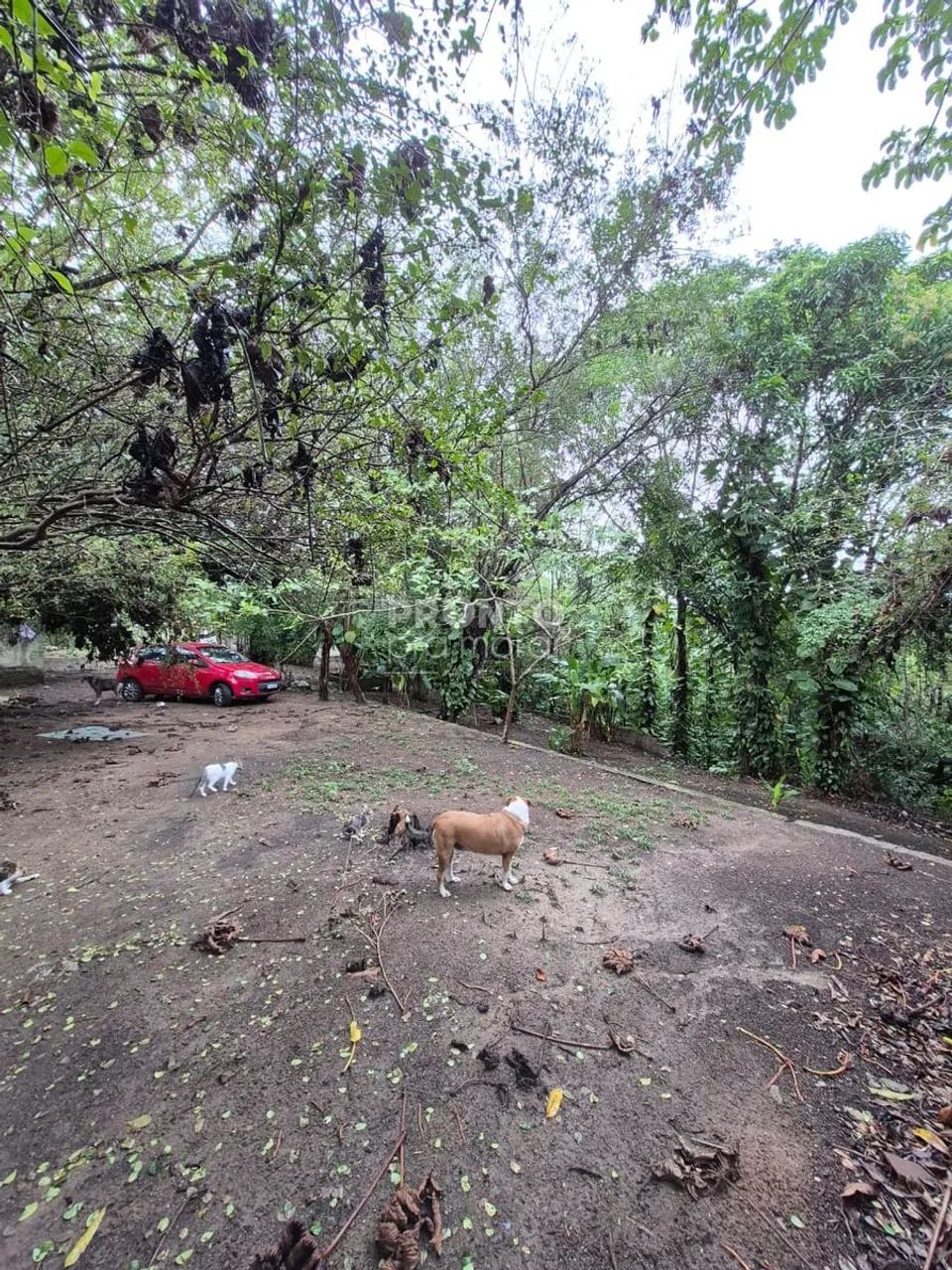 Lote/Terreno/Condomínio em Guabiraba - Foto 2