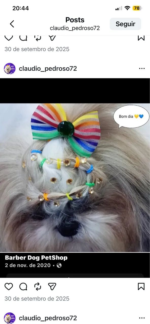 Barber dog