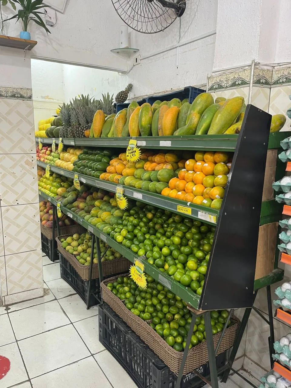 Foto - Santos - Campo Grande