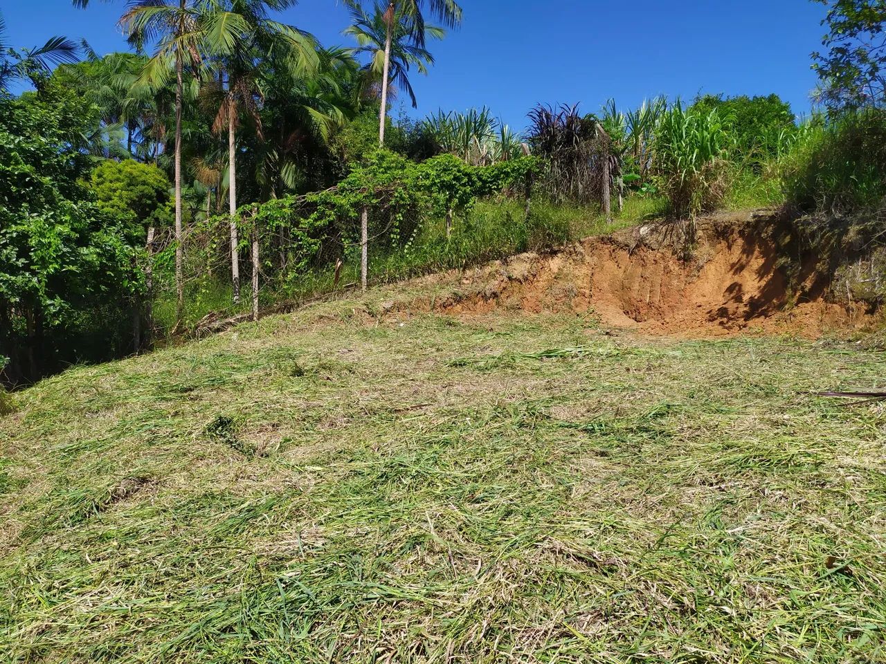 Terreno na Barra  - Foto 4