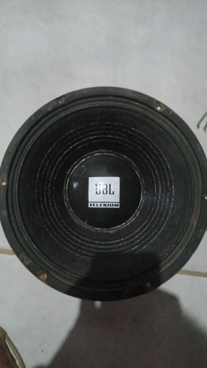 Medio grave de 10 polegadas 